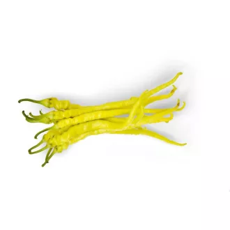 Paprika Édes Spirál F1 ZKI - 1000 szem