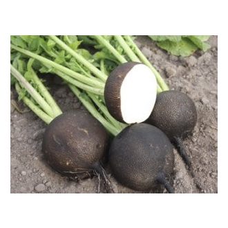 Retek Fekete Runder Schwarzer - 1kg