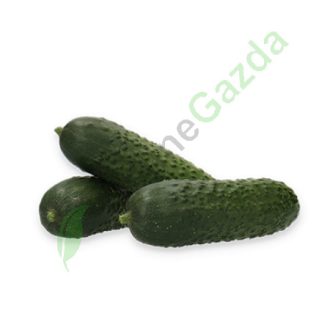 Uborka Ilonara F1 (12-IT408) RZ - 250 szem