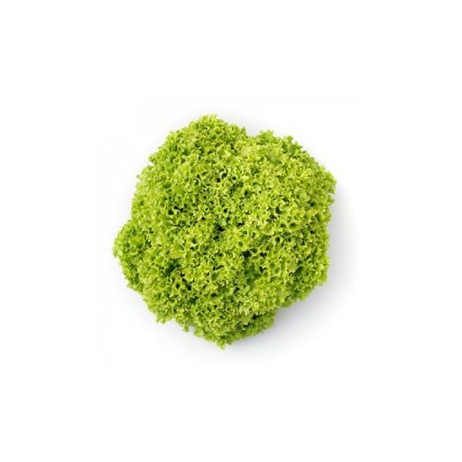 Saláta Limeira F1 Lollo (86-16) RZ - 5000 Szem