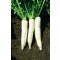 Retek Mino Summer Cross F1 Sakata - 50g