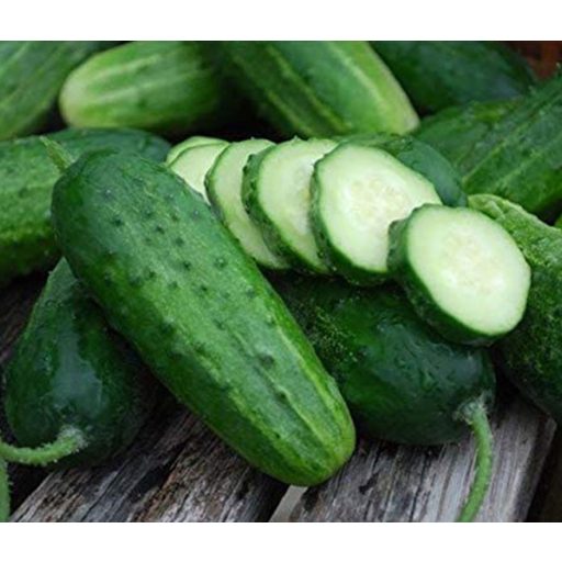 Uborka Alhambra F1 Berakó Alfal. - 500 szem